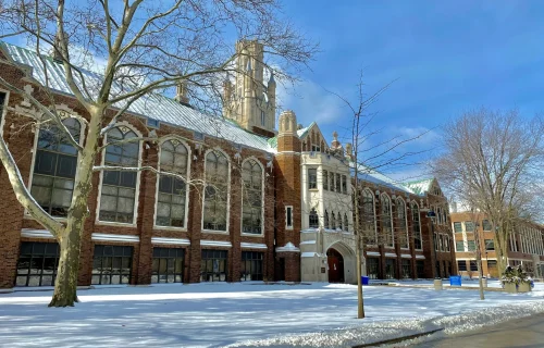 sofiya-bhishma-QudUswE820A-unsplash