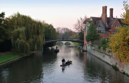 stefan-k-tCpcJzOhKeU-unsplash