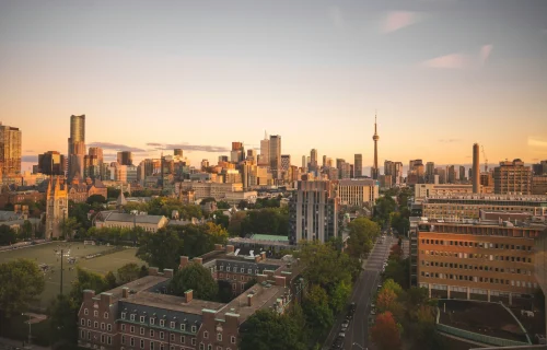 white-rainforest-5Sd2SUCaPWs-unsplash